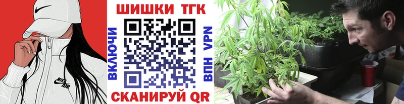 Бошки Шишки план  Чкаловск 